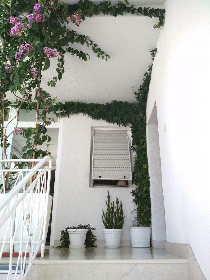 Apartmani Carevic Baska Voda Ngoại thất bức ảnh